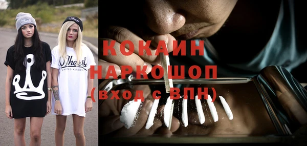 гашик Балахна