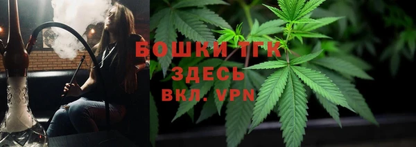 гашик Балахна