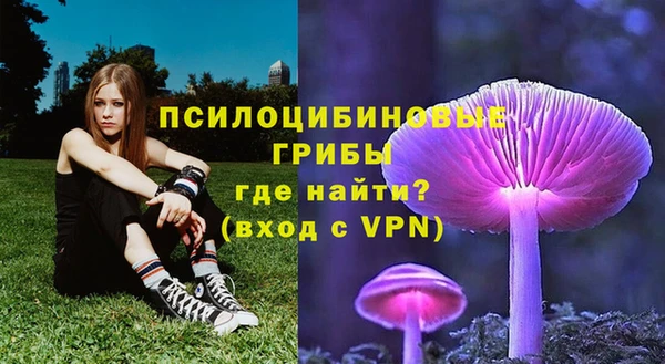 гашик Балахна