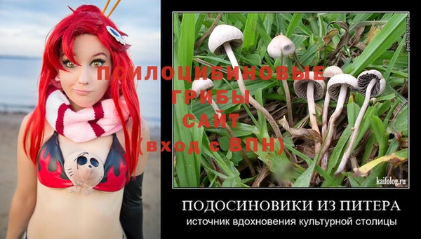 мет Баксан