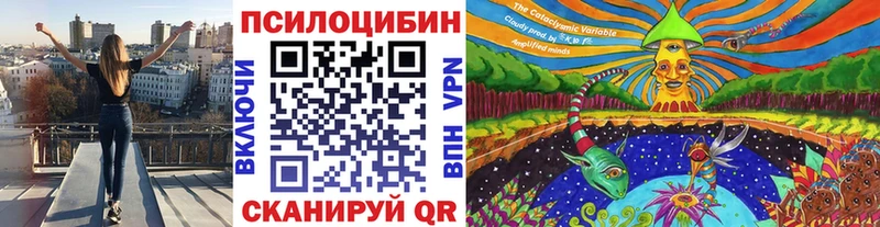 OMG   дарнет шоп  Гремячинск  Галлюциногенные грибы Magic Shrooms 
